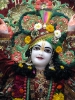 Krishna-Balaram-mandir_8