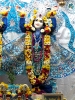 Krishna-Balaram-mandir_90