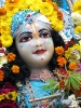Krishna-Balaram-mandir_94