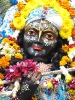 Krishna-Balaram-mandir_95