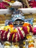 Krishna-Balaram-mandir_96