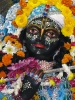 Krishna-Balaram-mandir_98