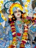Krishna-Balaram-mandir_99