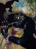 iskcon-jagannatha-puri_194