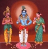 Tiruvadamadurai (Madhura)